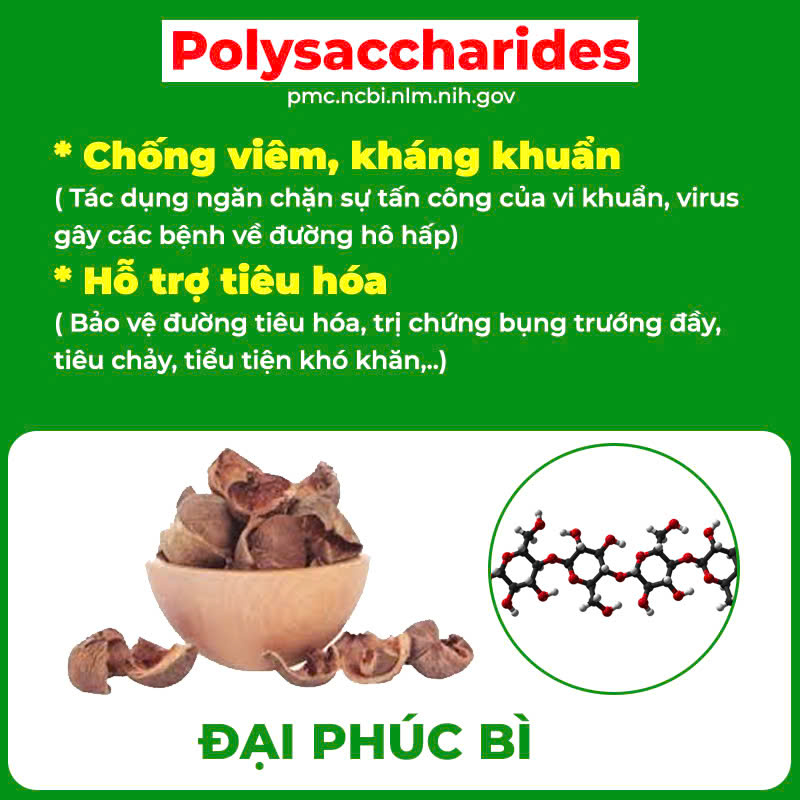 Thành phần hoa học PQA dùng cho người bị ho