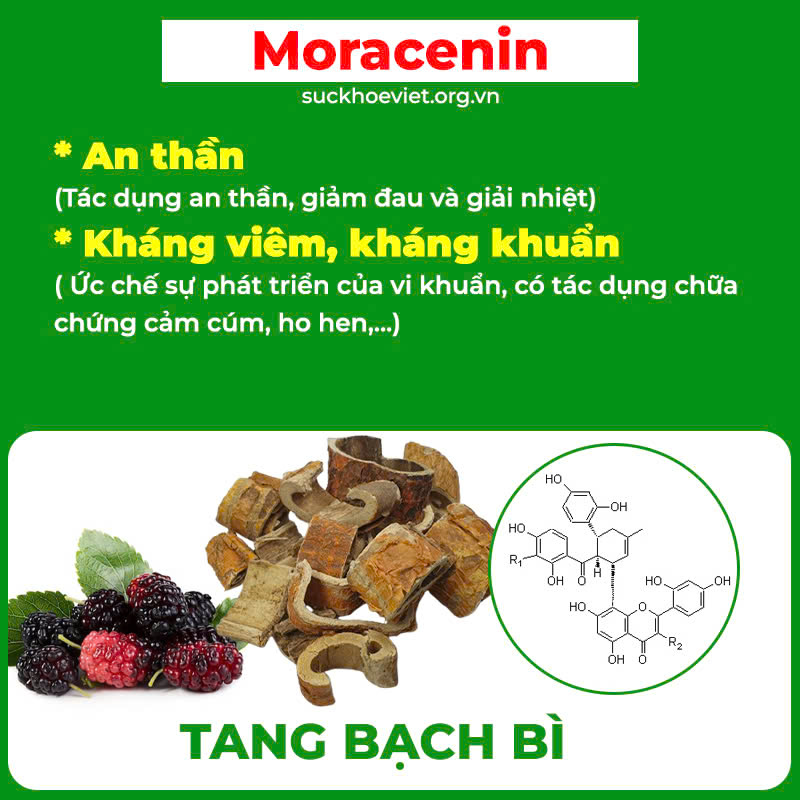 Thành phần hoa học PQA dùng cho người bị ho