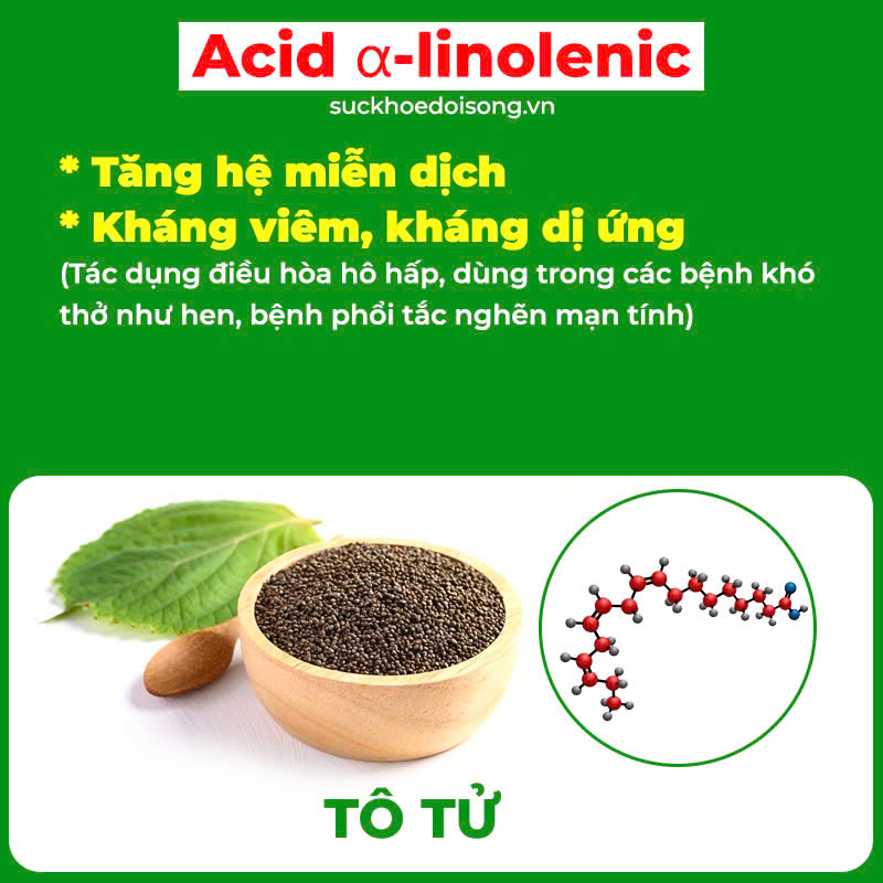 Thành phần hoa học PQA dùng cho người bị ho