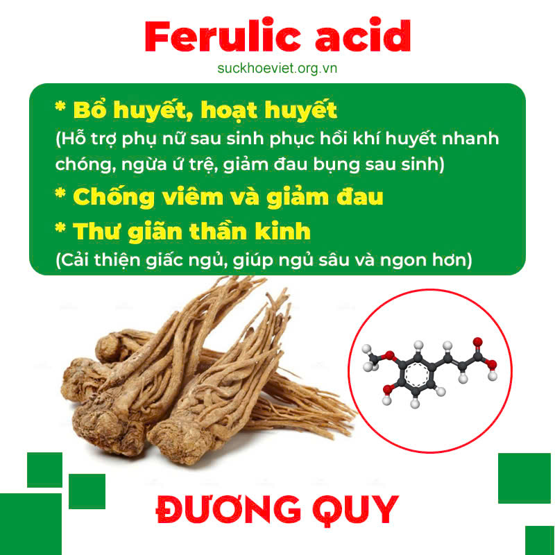 Thành phần hoá học Thông thảo lợi sữa