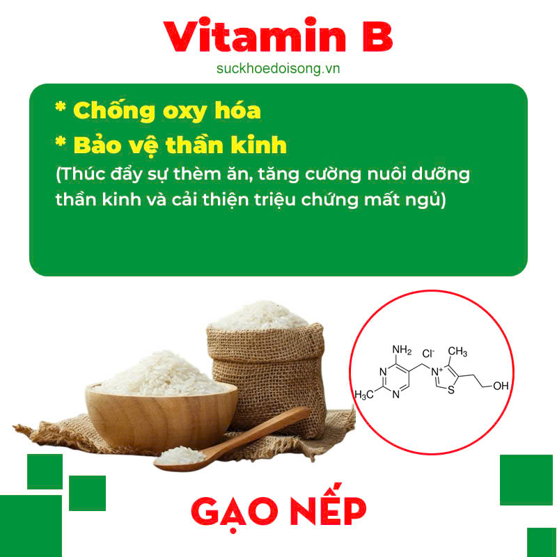 Thành phần hoá học Thông thảo lợi sữa