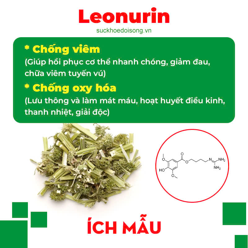 Thành phần hoá học Thông thảo lợi sữa