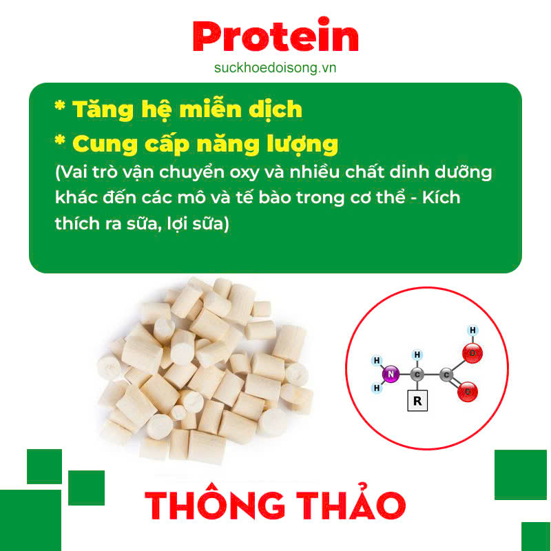 Thành phần hoá học Thông thảo lợi sữa