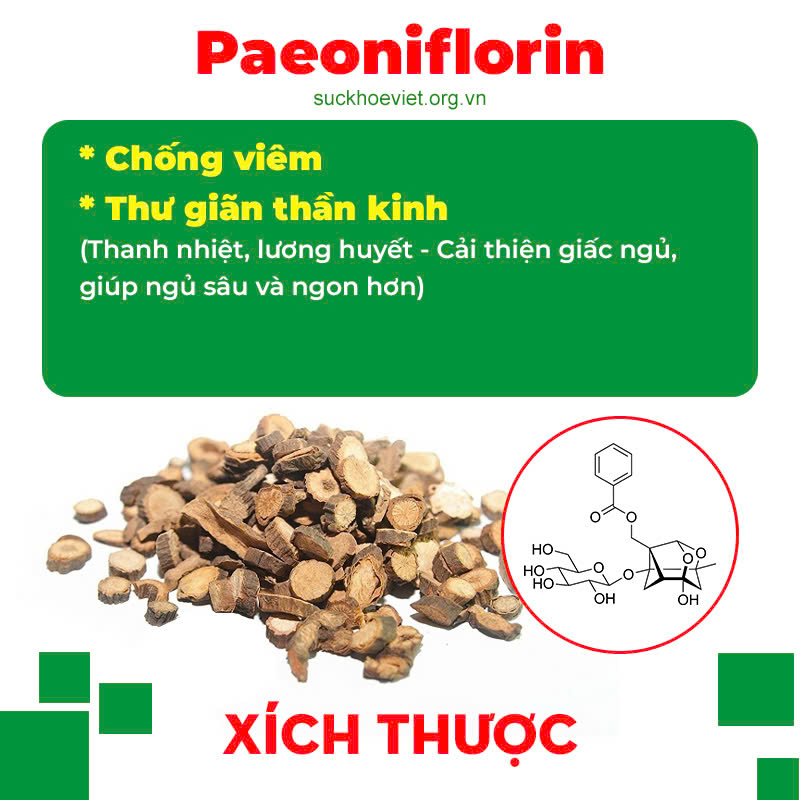 Thành phần hoá học Thông thảo lợi sữa