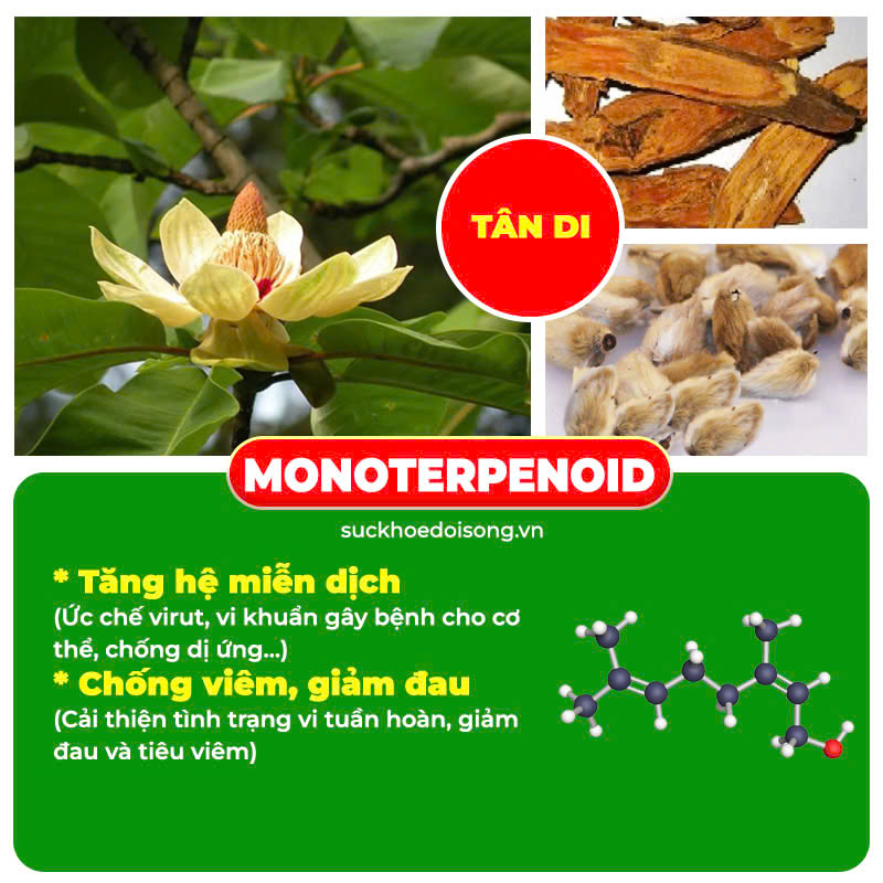 Thành phần hoá học Thương Nhĩ Tử 