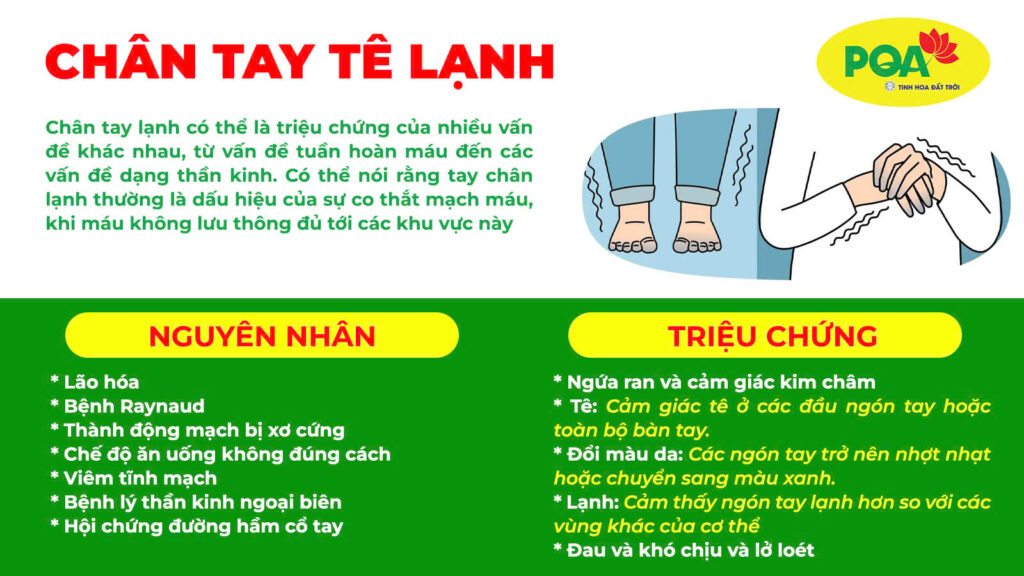 Nguyên nhân và triệu chứng của chân tay tê lạnh