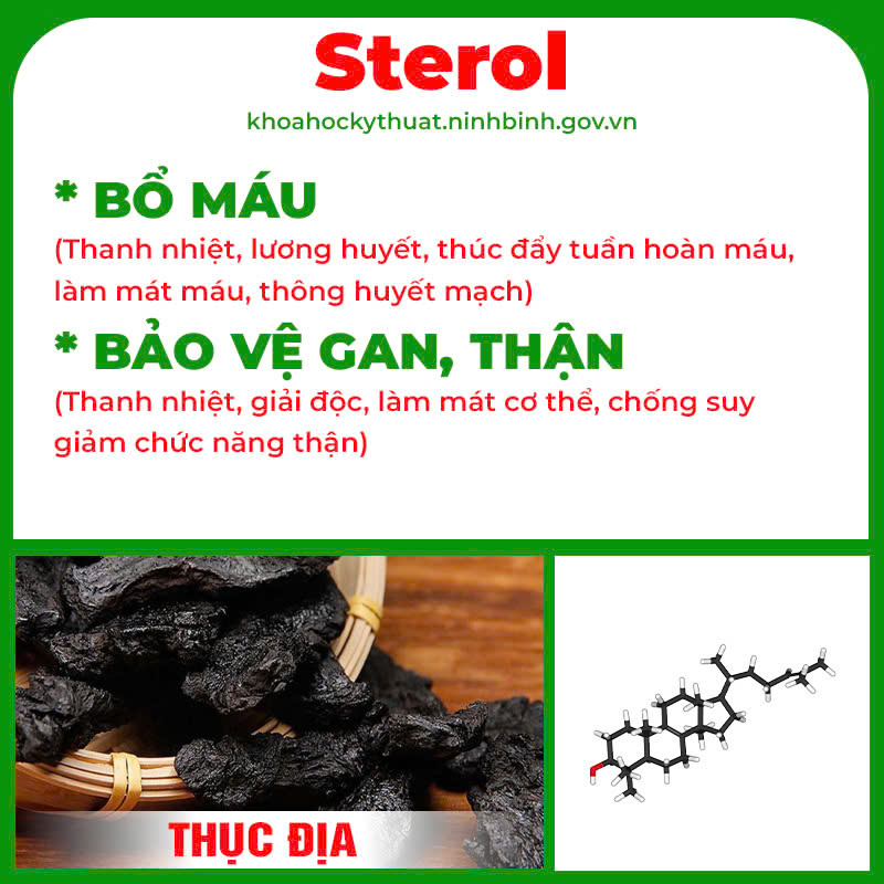 Thành phần hoá học Cốm Mệnh môn hoả