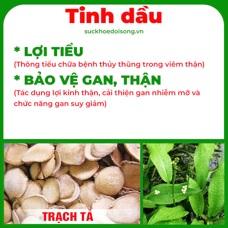 Thành phần hoá học Cốm Mệnh môn hoả