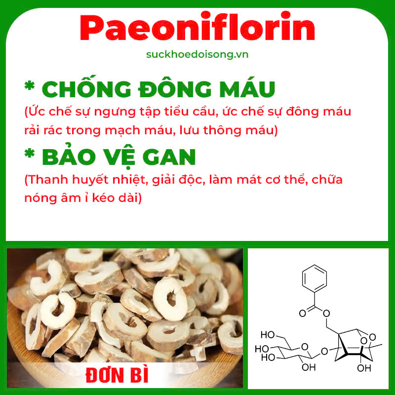 Thành phần hoá học Cốm Mệnh môn hoả