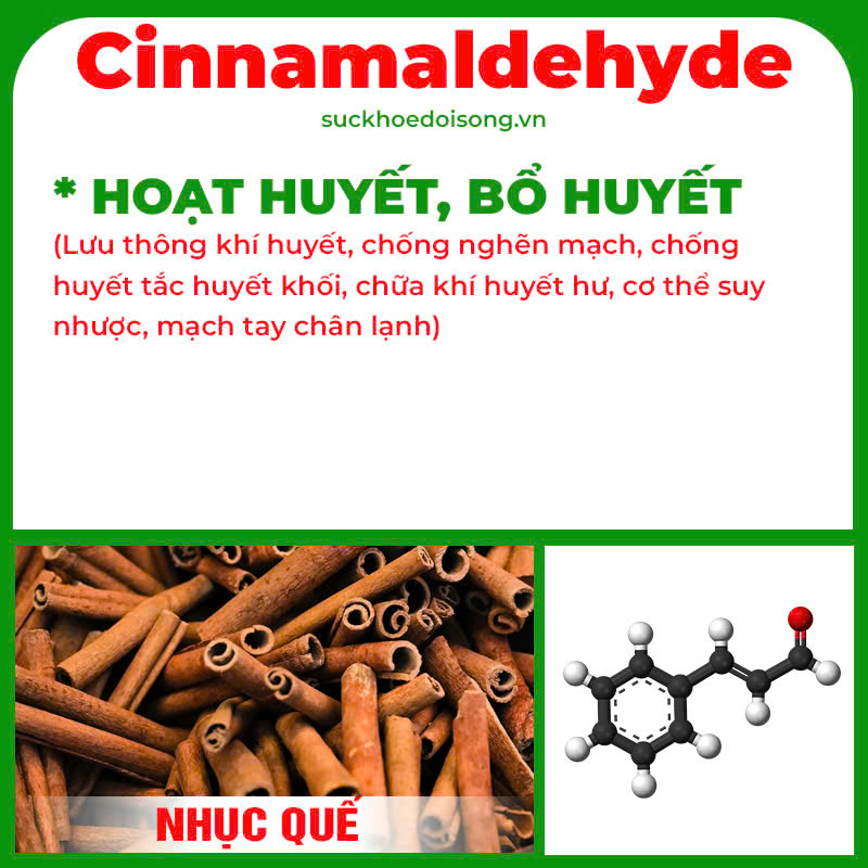 Thành phần hoá học Cốm Mệnh môn hoả