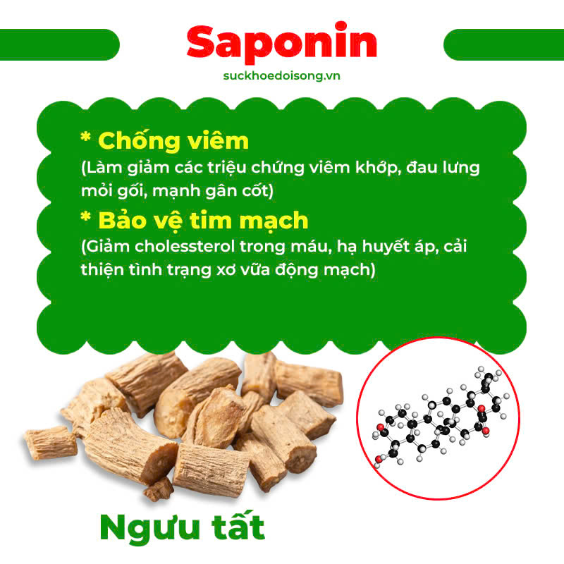 Thành phần hoá học Hy Thiêm