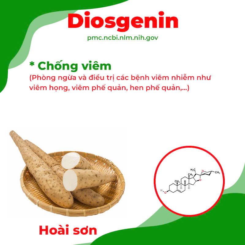 Thành phần hoá học phế quản