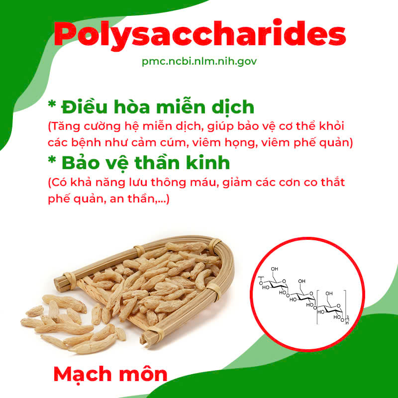 Thành phần hoá học phế quản