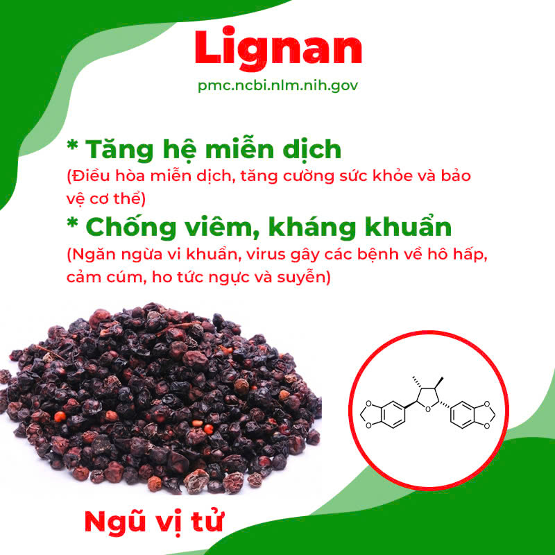 Thành phần hoá học phế quản