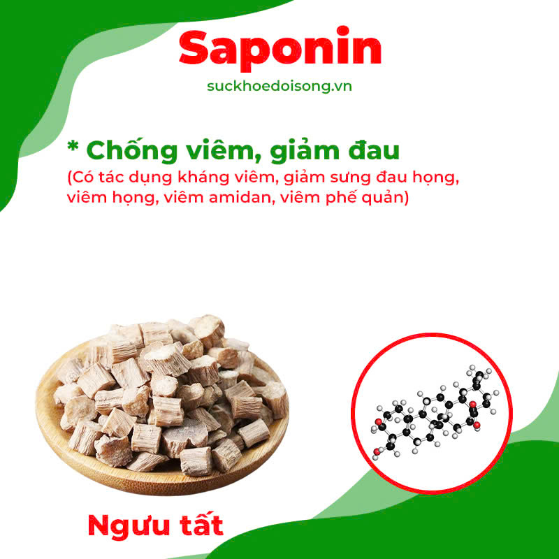 Thành phần hoá học phế quản