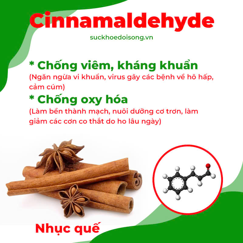 Thành phần hoá học phế quản