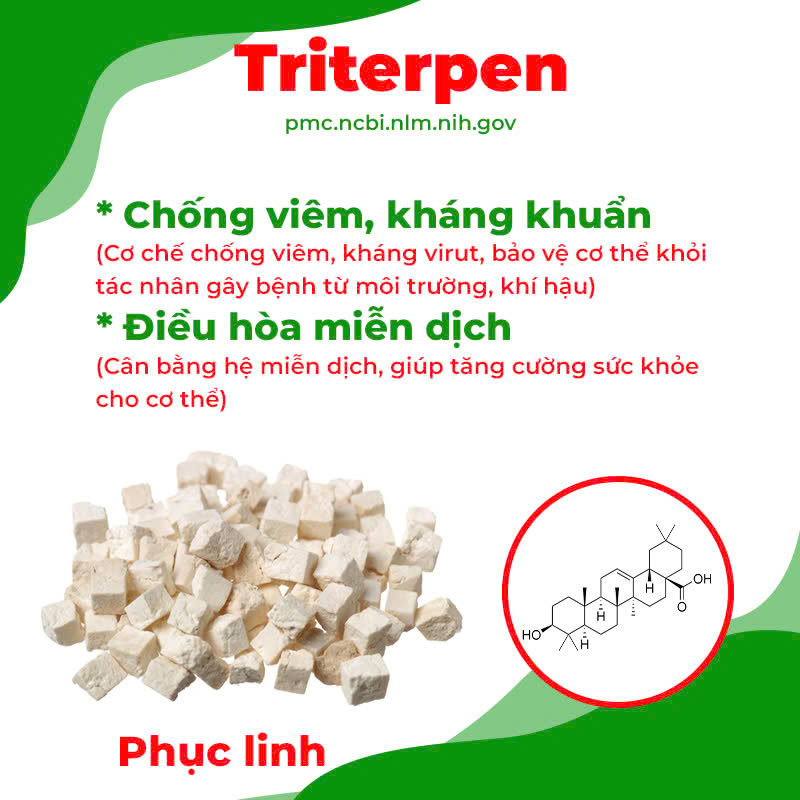 Thành phần hoá học phế quản