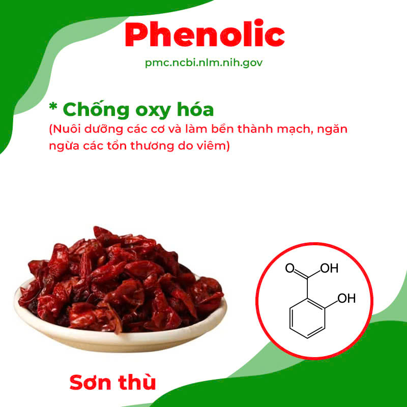 Thành phần hoá học phế quản