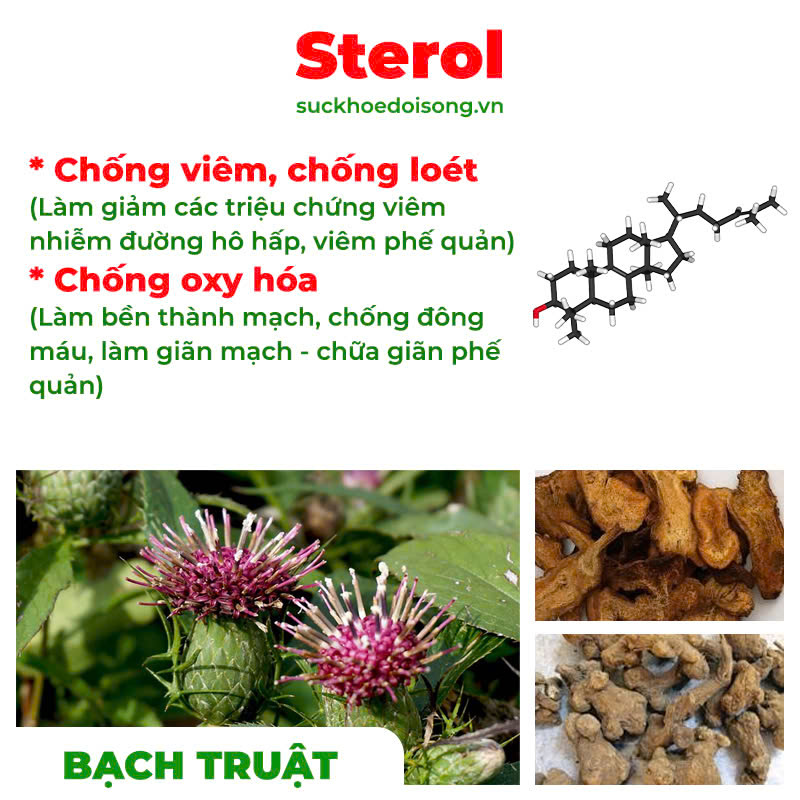 Thành phần hoá học Phế quản người lớn