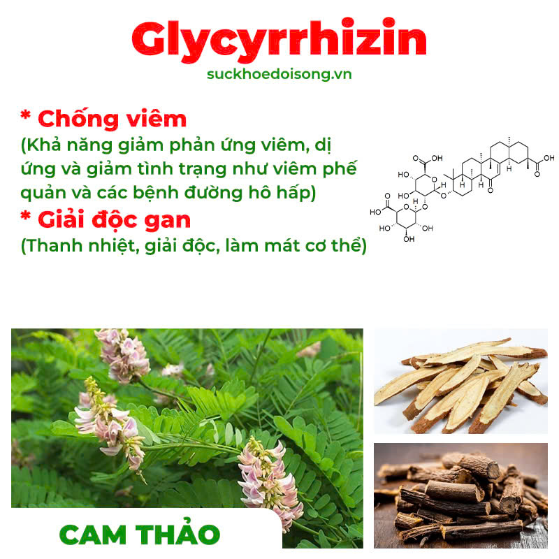 Thành phần hoá học Phế quản người lớn
