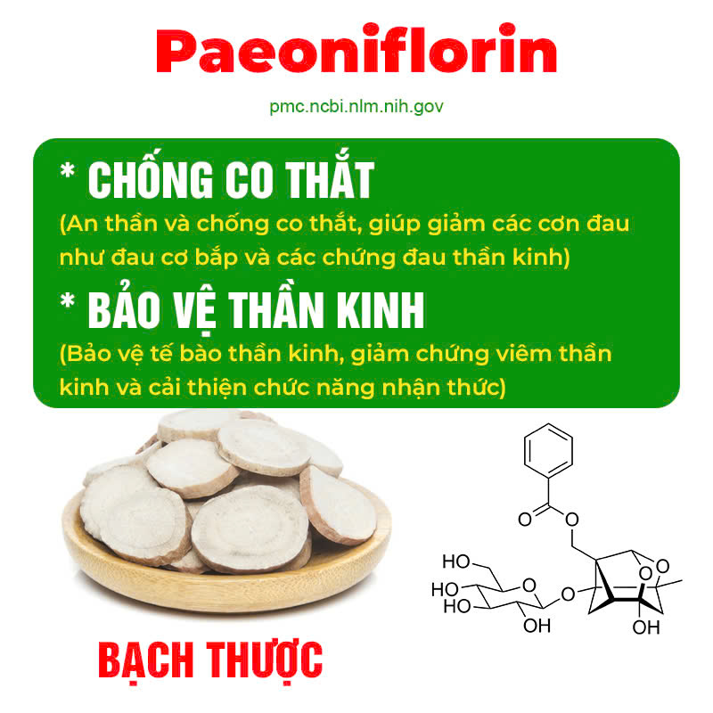 Thành phần hoá học Thư giãn gân cơ