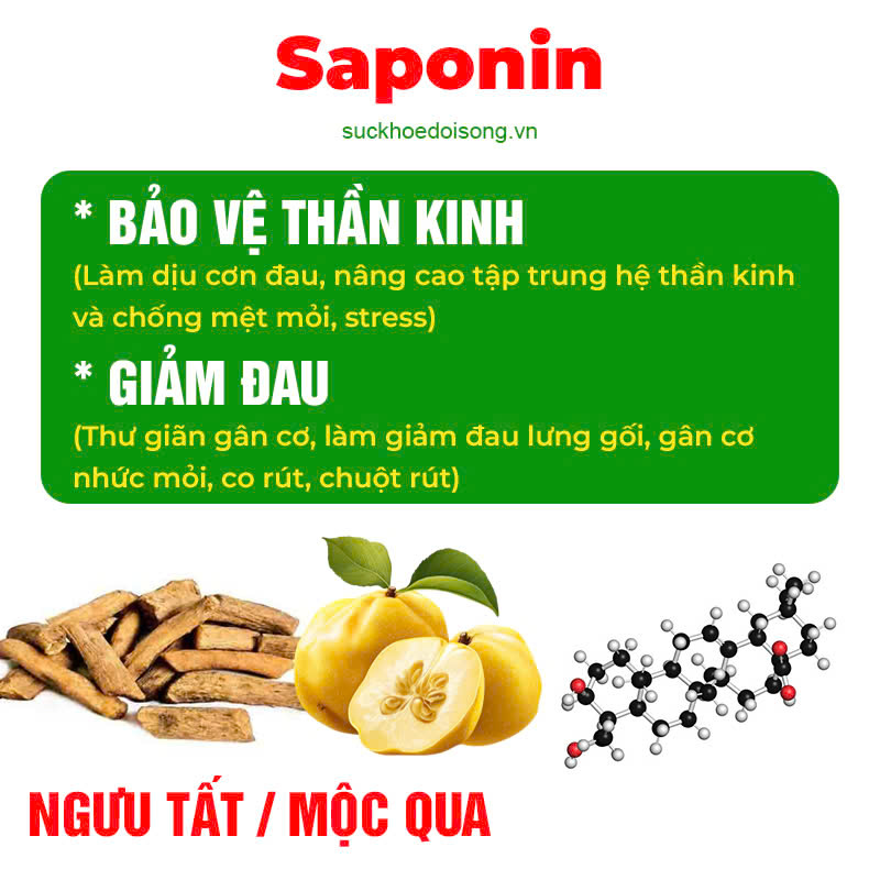 Thành phần hoá học Thư giãn gân cơ