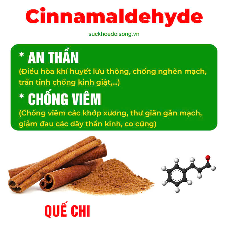 Thành phần hoá học Thư giãn gân cơ