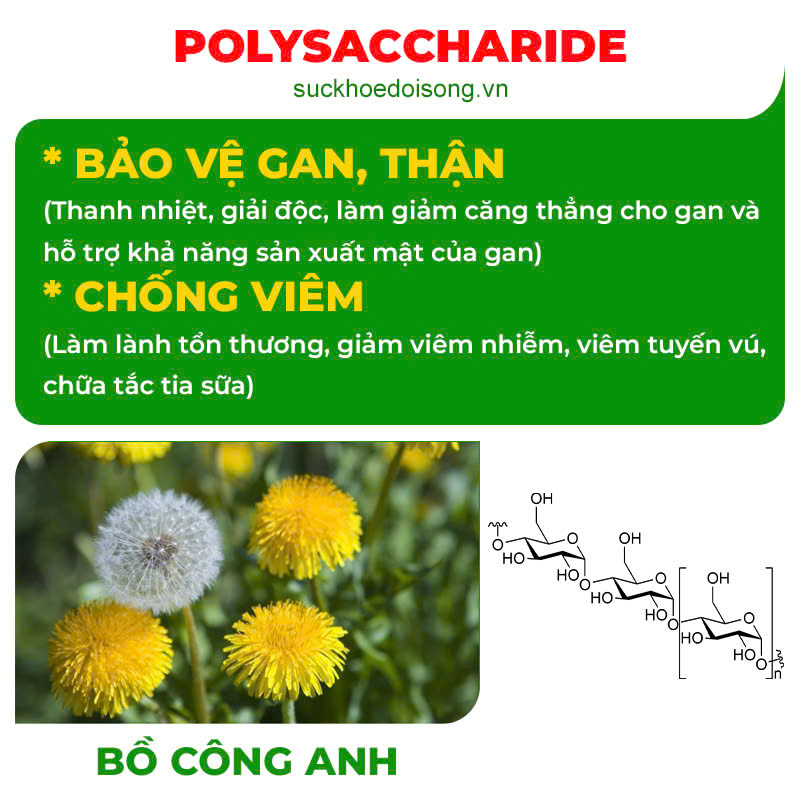 Thành phần hoá học Tia sữa