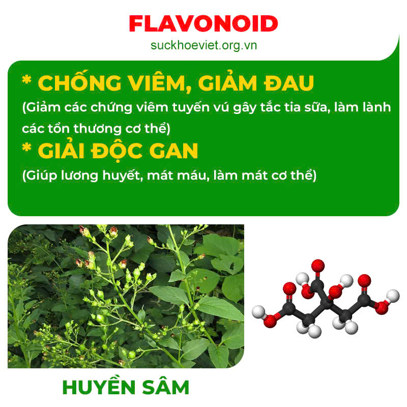 Thành phần hoá học Tia sữa