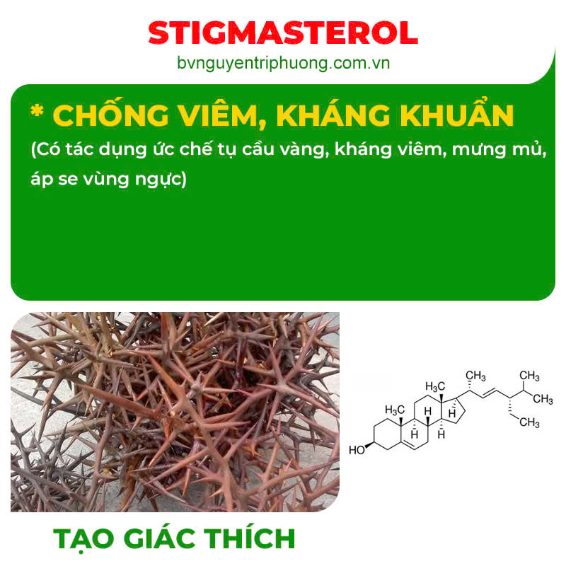Thành phần hoá học Tia sữa