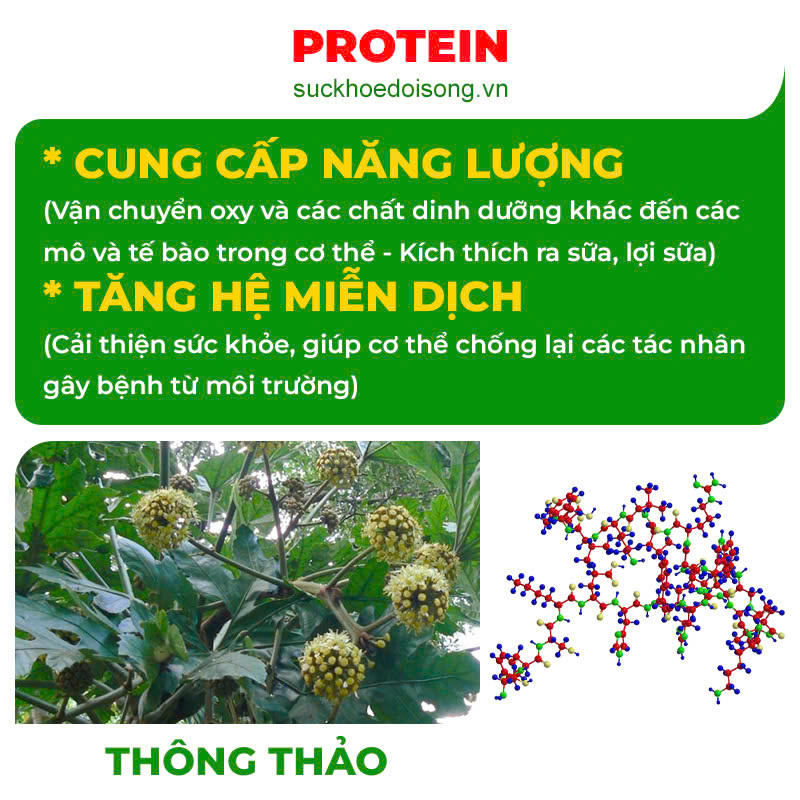 Thành phần hoá học Tia sữa