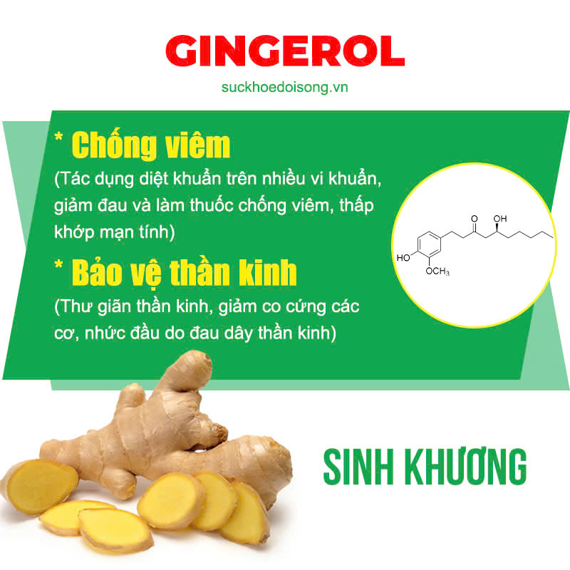 Thành phần hoá học Vai Gáy