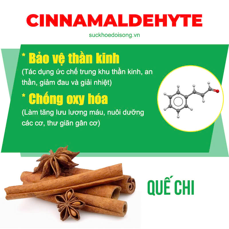 Thành phần hoá học Vai Gáy