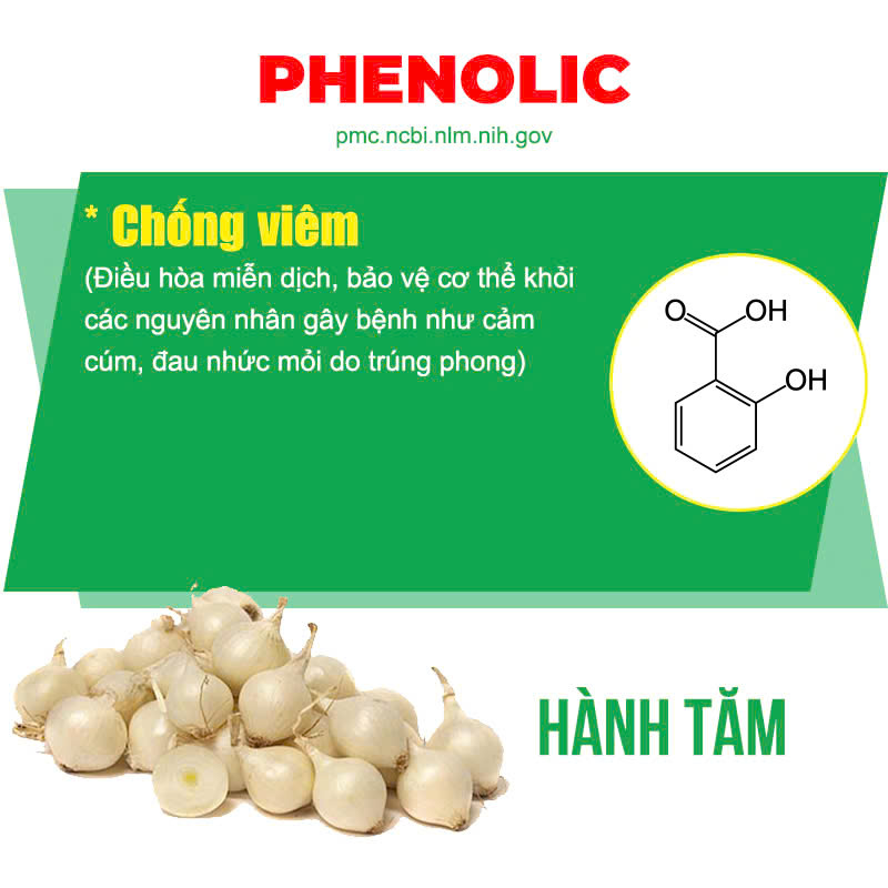 Thành phần hoá học Vai Gáy