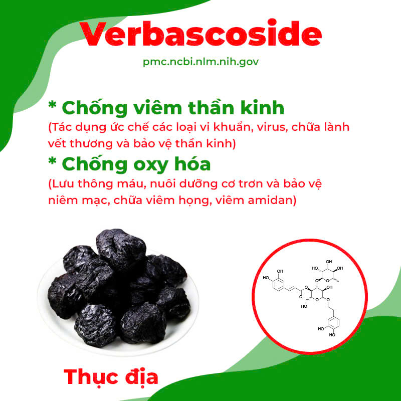 Thành phần hoá học phế quản