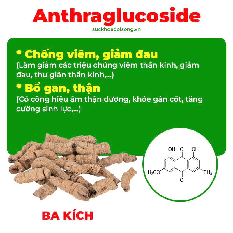 Thành phần hoá học thư can dưỡng huyết