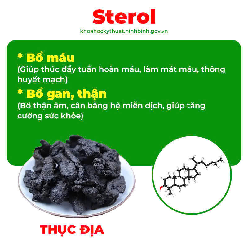 Thành phần hoá học thư can dưỡng huyết