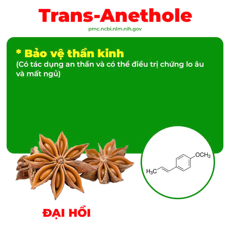 Thành phần hoá học thư can dưỡng huyết
