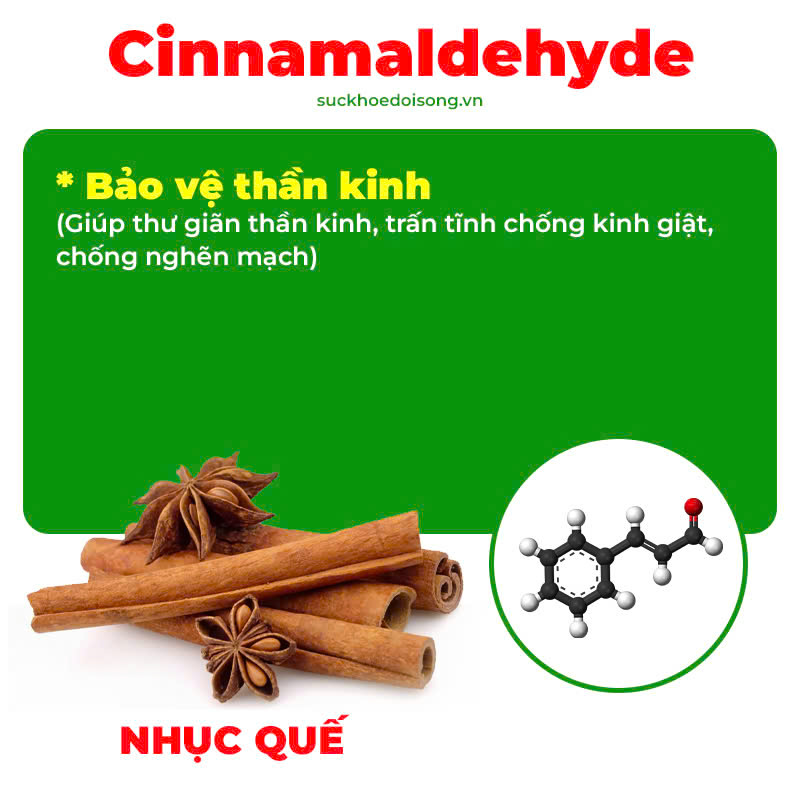 Thành phần hoá học thư can dưỡng huyết