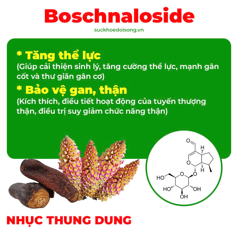 Thành phần hoá học thư can dưỡng huyết