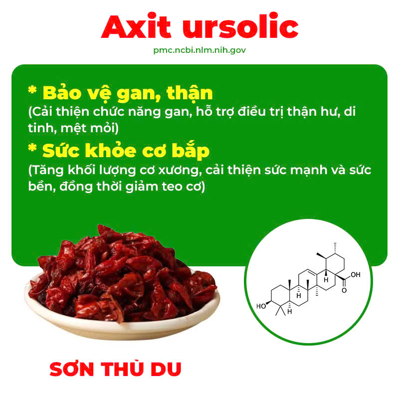 Thành phần hoá học thư can dưỡng huyết