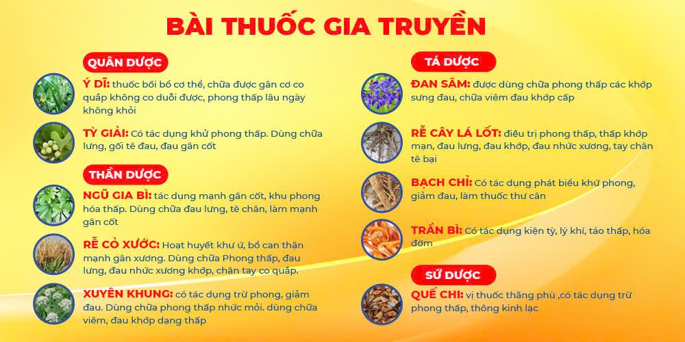 Bài thuốc gia truyền Xuyên khung xương khớp