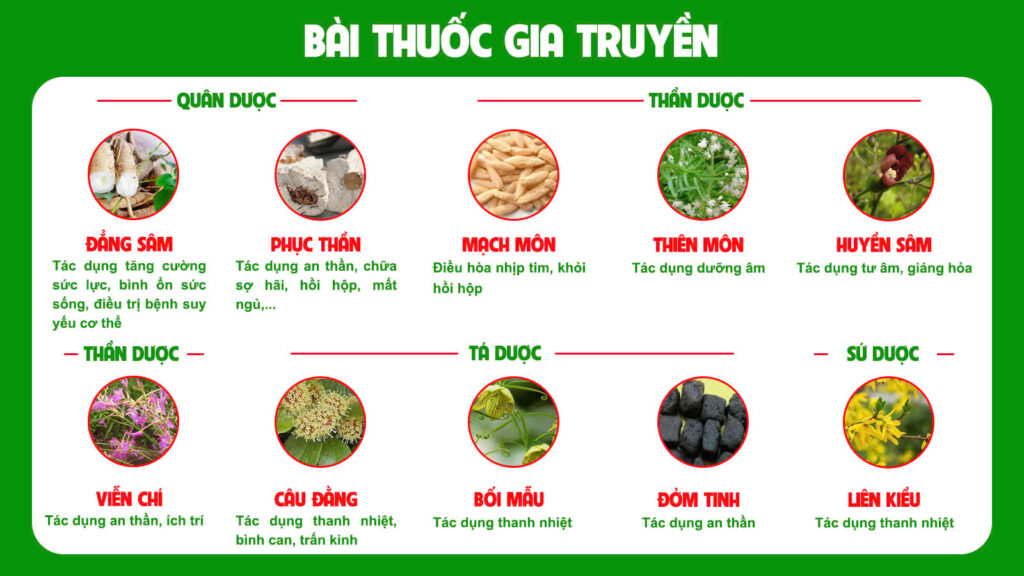Bài thuốc gia truyền thanh tâm phục thần