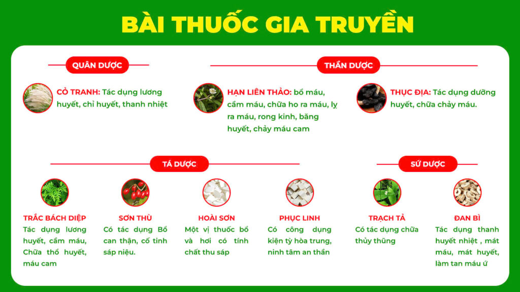 Bài thuốc gia truyền trắc bách diệp
