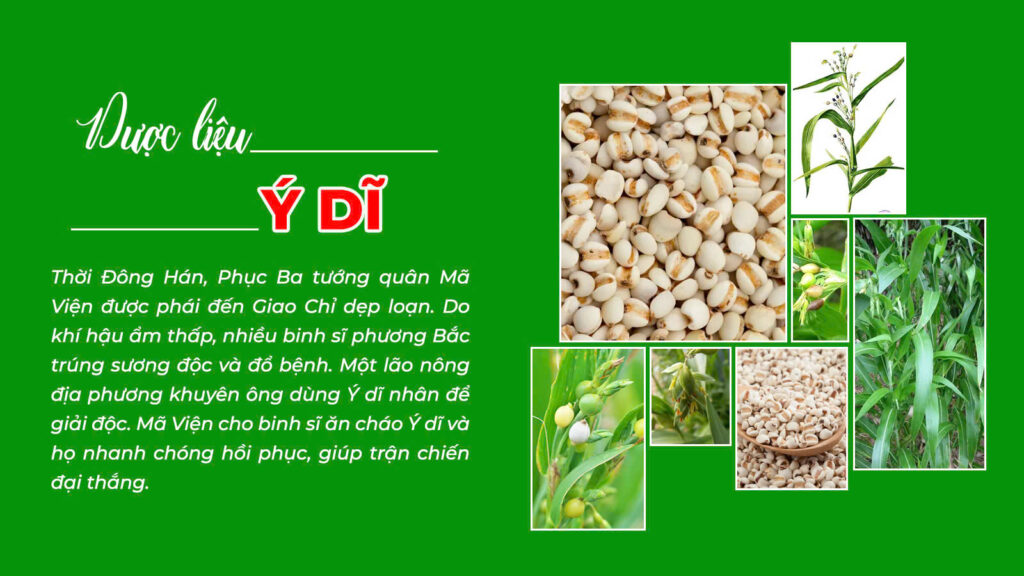 Câu Chuyện Xuyên khung xương khớp