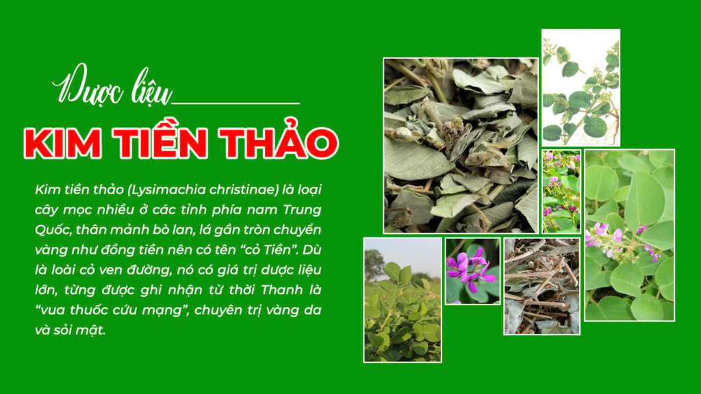 Câu chuyện trạch tả