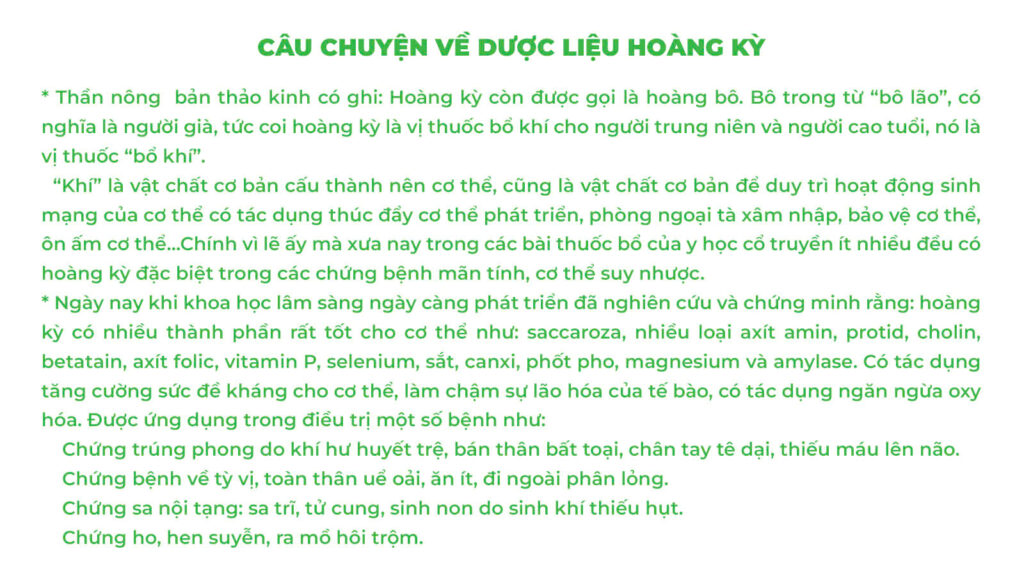Câu chuyện về hoàng kỳ
