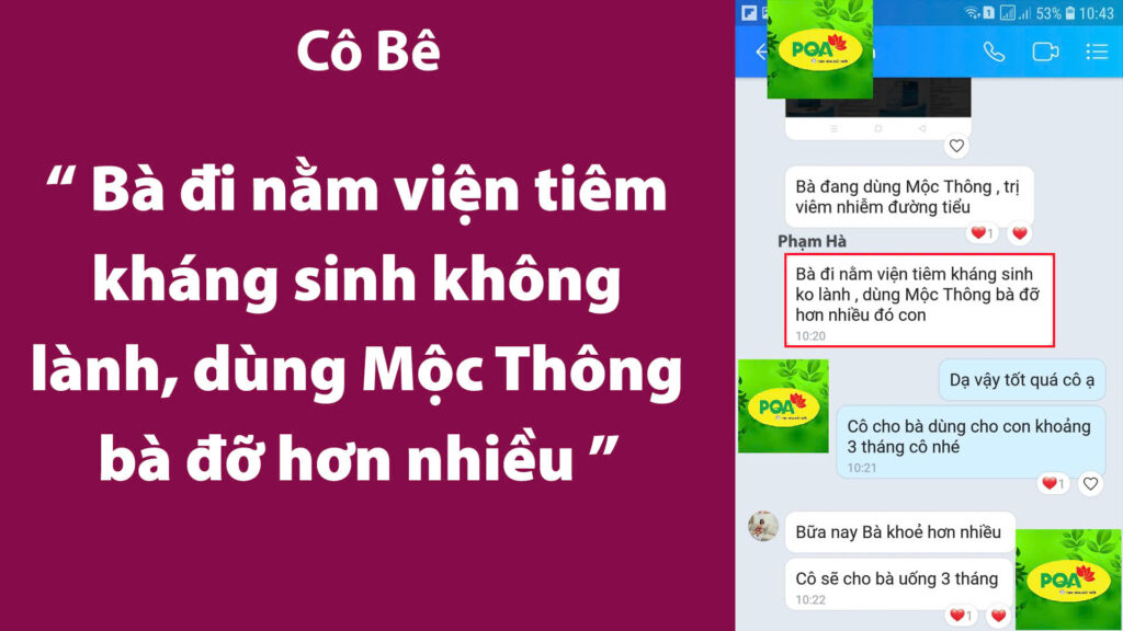 Feedback Mộc Thông