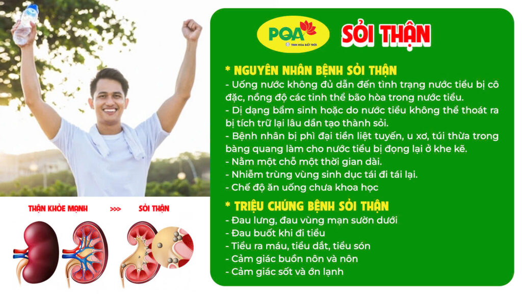Nguyên nhân và triệu chứng của Trạch tả