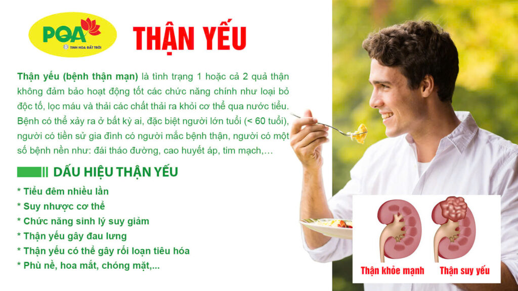 Nguyên nhân và triệu chứng thận yếu